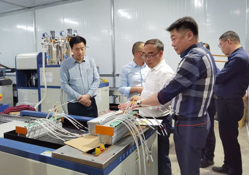 陽新新聞 萬鼎調(diào)研2023年度全市第二批次拉練項(xiàng)目建設(shè)情況